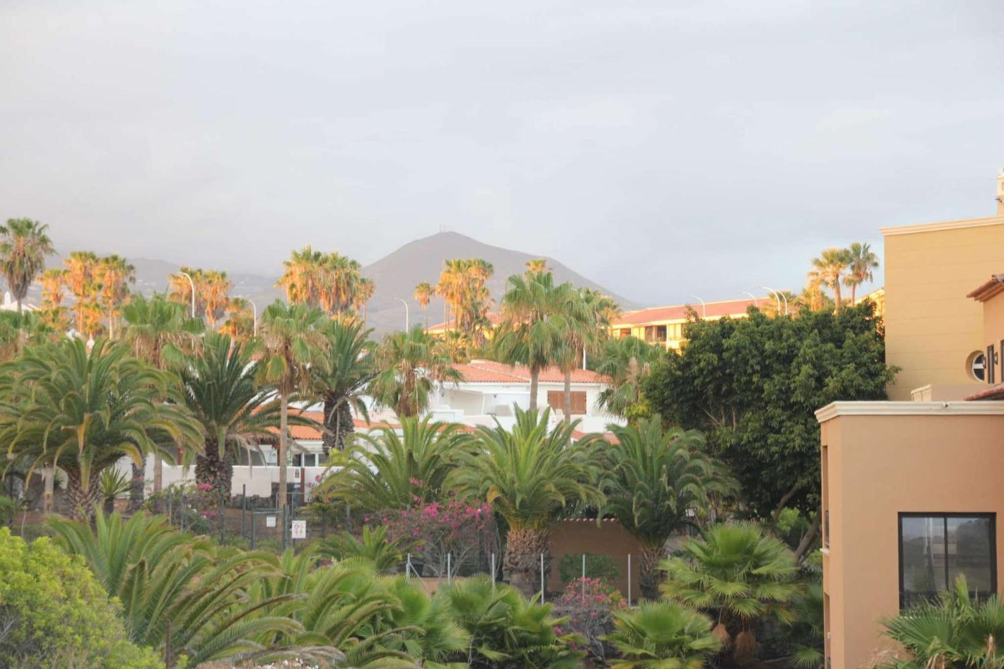 Vive Rie Ama Tenerife - 2 Bedroom Apartment ซานมิเกลเดียโบนา ภายนอก รูปภาพ